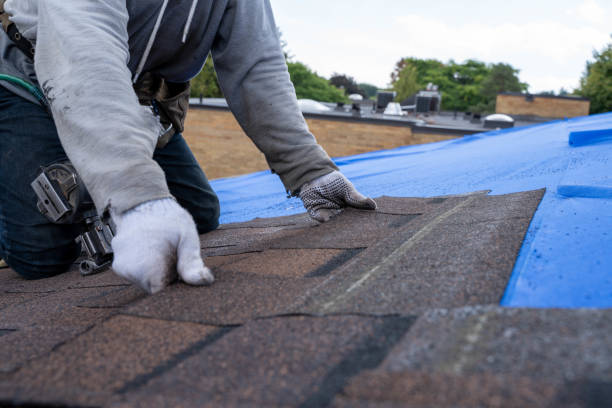 Best Gutter Installation and Roofing  in Mvell, AR